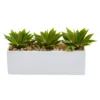 Nearly Natural Agave Succulent In Rectangular Planter -Artificial Plant Shop GUEST d7b8226b be6f 45a1 952a 6da8a212c5e6