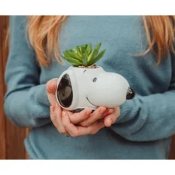 Silver Buffalo Peanuts Snoopy Face Ceramic Mini Planter With Artificial Succulent | 3.5"L X 5" H X 5" W -Artificial Plant Shop GUEST df051a44 d6a4 437b 9e48 9af91fd7acab