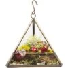 D'Eco Hanging Glass Triangle Plant Terrarium- Copper Geometric Planter Terrarium - Home, Garden & Office Decor- Gift For Plant Lovers