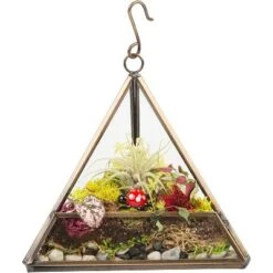 D'Eco Hanging Glass Triangle Plant Terrarium- Copper Geometric Planter Terrarium - Home, Garden & Office Decor- Gift For Plant Lovers