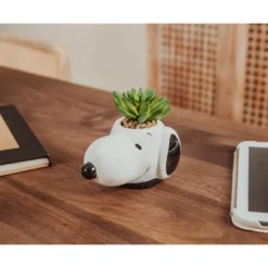 Silver Buffalo Peanuts Snoopy Face Ceramic Mini Planter With Artificial Succulent | 3.5"L X 5" H X 5" W -Artificial Plant Shop GUEST e41006da 4b80 40ec a873 012202c17d66