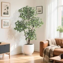 Artificial Ficus Tree, Tall Faux Plant With White Tall Planter, Faux Greenery Tree With Natural Trunks & White-Edged Leaves For Home Decor -Artificial Plant Shop GUEST e4a29669 18b0 419b b69d 47978b6754e9