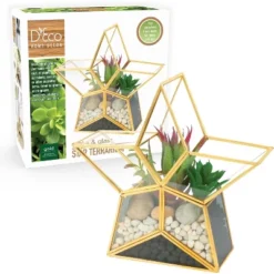 D'Eco Glass Star Terrarium- Tabletop Geometric Planter- Succulents, Moss & More- Home Garden Office Decor- Gift For Mother's Day (Terrarium Only) -Artificial Plant Shop GUEST e4ee1efa 2265 4a2a 901b ef5a6243b971