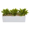 Agave Succulent In Rectangular Planter - Nearly Natural 2 Agave Succulent In Rectangular Planter - Nearly Natural -Artificial Plant Shop GUEST ed0a21c0 3412 41e6 a0d6 4aff9c2a655e