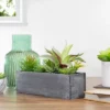 Northlight 12" Artificial Mixed Succulent Plants In A Rectangular Planter