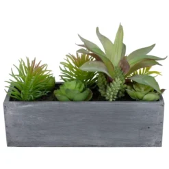 Northlight 12" Artificial Mixed Succulent Plants In A Rectangular Planter -Artificial Plant Shop GUEST f4109dc6 9bd7 4f6c 9371 241fa94e9b46