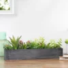 Northlight 23" Artificial Mixed Succulent Plants In A Rectangular Planter -Artificial Plant Shop GUEST f50c3a8e 6240 449f 809e dd3fc52875bf