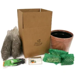 Van Zyverden 40ct Bulbs Multicolored Harmony Spring Blooming Patio Planter Set 9 Van Zyverden 40ct Bulbs Multicolored Harmony Spring Blooming Patio Planter Set -Artificial Plant Shop GUEST f5286d19 e5c2 44ef b99c fcf48c3597ac