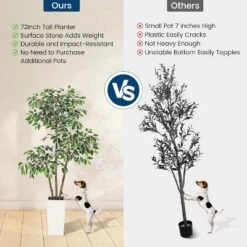 Artificial Ficus Tree, Tall Faux Plant With White Tall Planter, Faux Greenery Tree With Natural Trunks & White-Edged Leaves For Home Decor -Artificial Plant Shop GUEST f901f6b6 e82b 4fa3 b697 ba232ff5bfa4