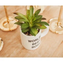 Silver Buffalo The Office "World's Best Boss" 3-Inch Ceramic Mini Planter With Artificial Succulent -Artificial Plant Shop GUEST f9a84c60 2eac 4e50 8d3c f0481c33d8e5