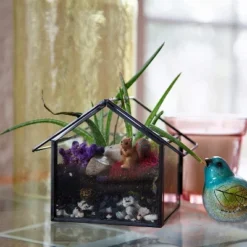 D'Eco Glass Geometric Plant Terrarium 3Pk - Hanging Triangle, House & Prism Planters - Home, Garden & Office Botanical Decor - Gift For Plant Lovers -Artificial Plant Shop GUEST fd27ccba 428a 46f7 a0e5 72f71fefe029