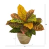 Nearly Natural 15-in Garden Croton Artificial Plant In Ceramic Planter (Real Touch) -Artificial Plant Shop GUEST feb15ebf 9463 470b a611 acf2617603f7